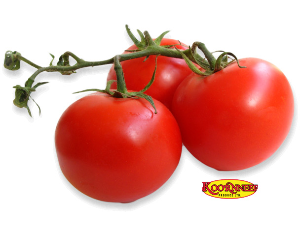 Koornneef tomatoes